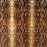 Snake Skin