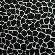 Giraffe Print