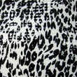 Leopard Print