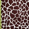 Giraffe Skin