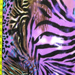 Animal Print