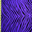 Zebra Print