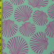 Seashell