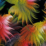 Feather