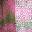 Tie Dye Fishnet