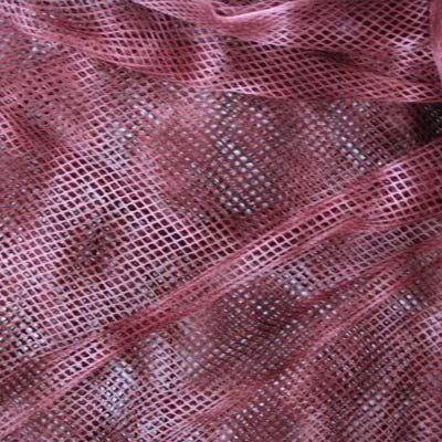 Fishnet