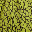 Laser Cut