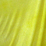 Glitter/Fashionable Novelty Spandex