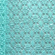 Fancy Net