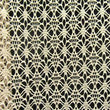 Fancy Net