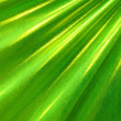 Matrix
