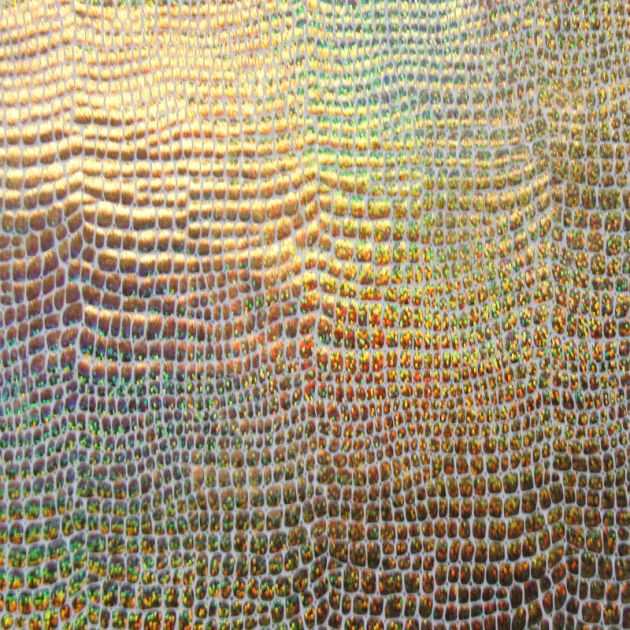 Holographic Print