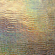 Holographic Print