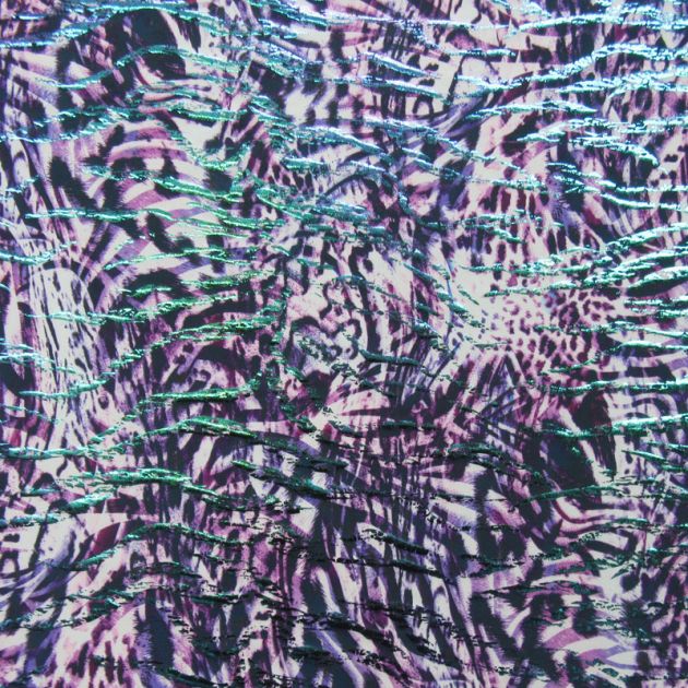 Holographic Print