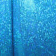Shattered Glass