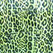 Holographic Print