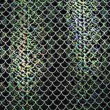Fishscale