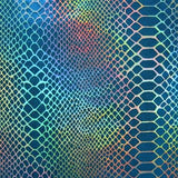 Stretch Hologram