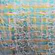 Holographic Print