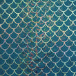 Fishscale