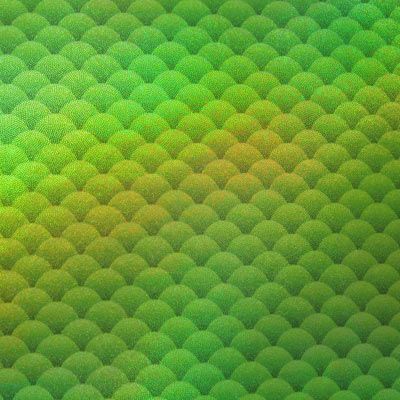 Fishscale