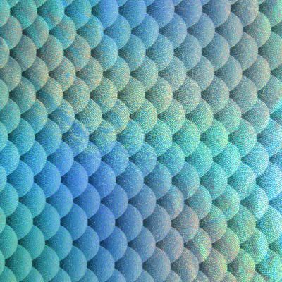 Fishscale