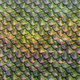 Fishscale
