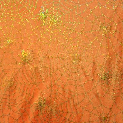 Spider web