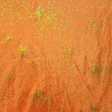 Spider web