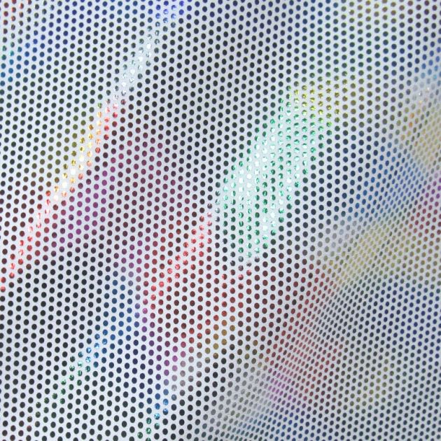 Holographic Print