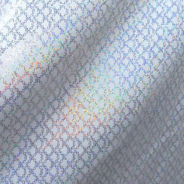 Holographic Print