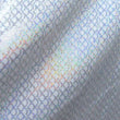 Holographic Print