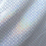 Holographic Print