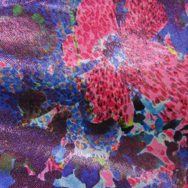 Holographic Print