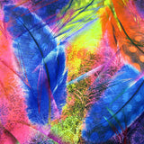 Holographic Print