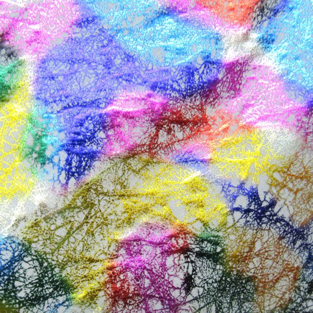 Holographic Print