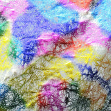 Holographic Print