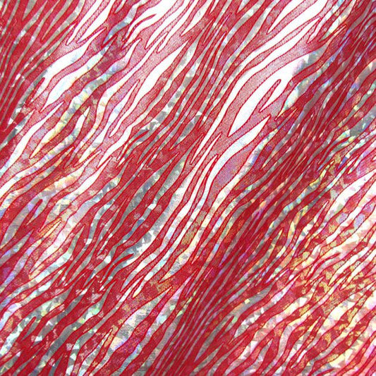 Holographic Print