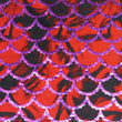 Holographic Print
