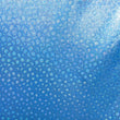 Holographic Print
