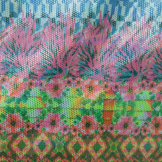 Holographic Print