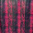 Holographic Print