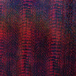Holographic Print