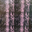 Holographic Print