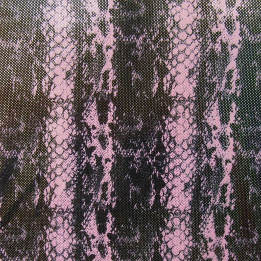 Holographic Print