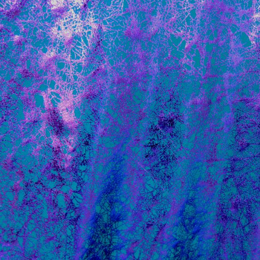 Holographic Print
