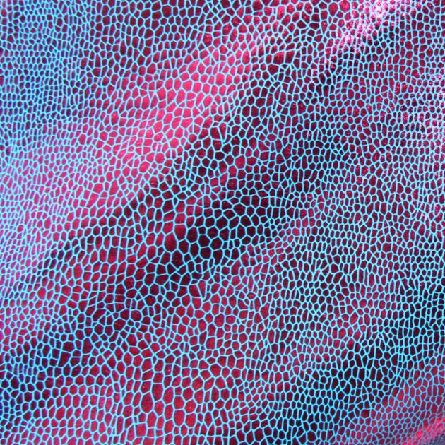Holographic Print