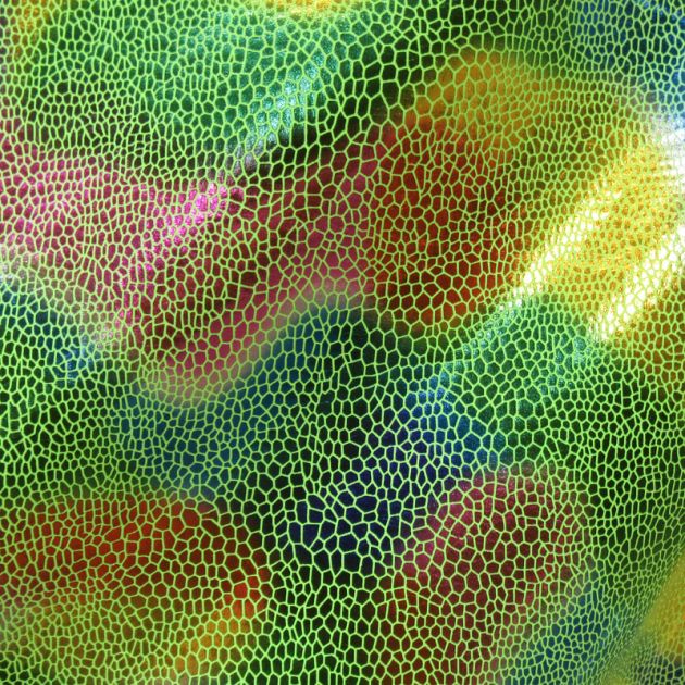 Holographic Print
