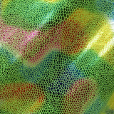 Holographic Print