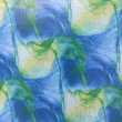 Holographic Print